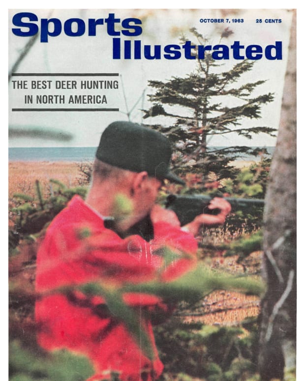 42364 - Cover Image